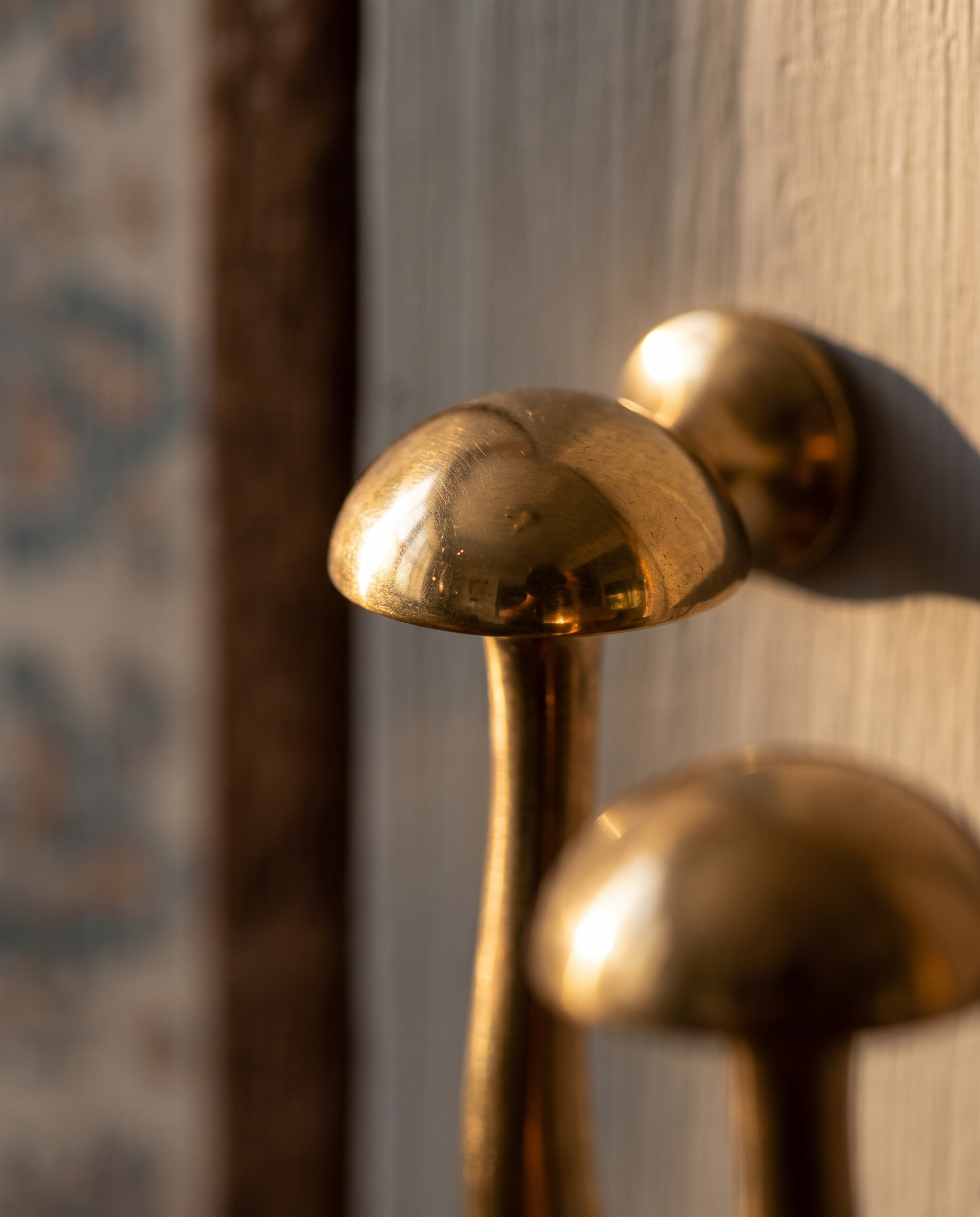 Brass Mushroom Cabinet Knob — macro detail, polished brass mushroom finish, warm side light