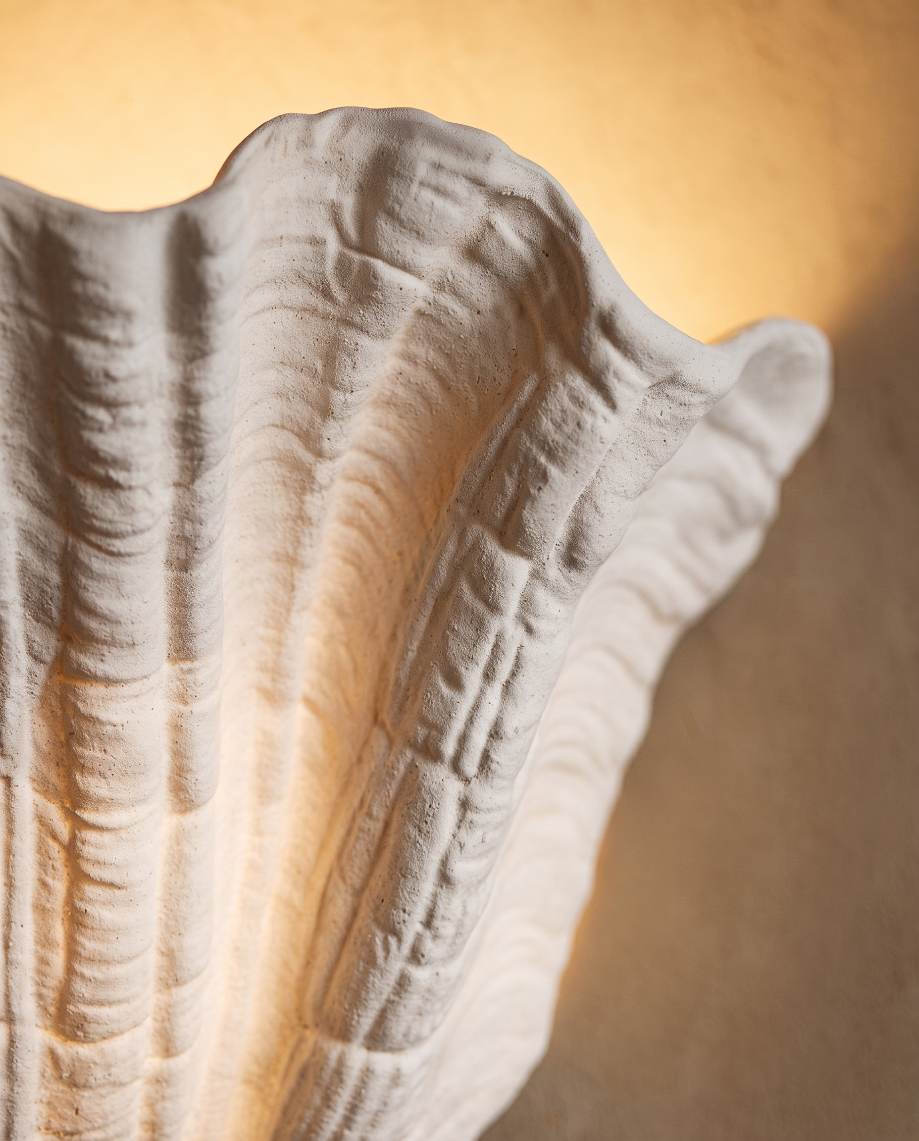 Gypsum Shell LED Wall Sconce — macro detail, matte gypsum plaster texture and fluted shell ridges, warm side light