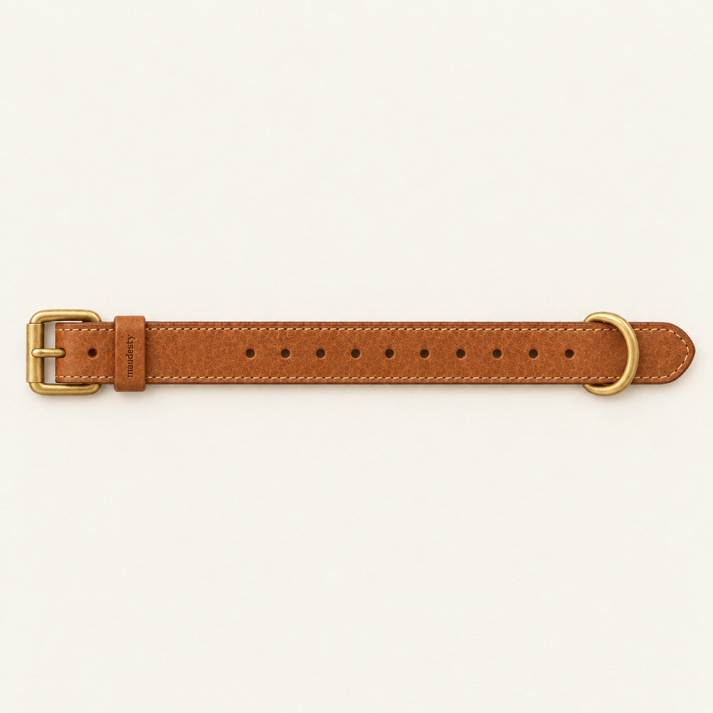 Collar laid flat, showing the adjustment holes