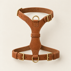 Buckled closed, showing the Y-front shape
